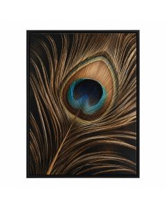 Peacock Feather 2 Graphic Art