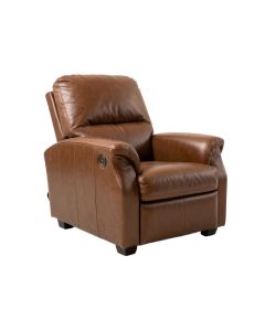 Teasley 30 '' Wide Manual Standard Recliner (synthetic illustration; no displayed measurements)