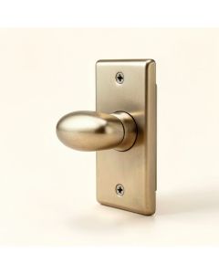 Callan Silona Keyed Door Lever (synthetic illustration; no displayed measurements)
