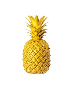 Richland Modern Pineapple Whole Cut On Basketweave Wall Décor