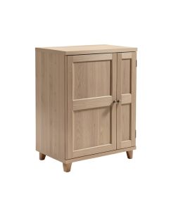 Niles 2 Door Storage Cabinet (synthetic illustration; no displayed measurements)