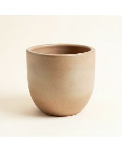 Rufus Ceramic Pot Planter (synthetic illustration; no displayed measurements)