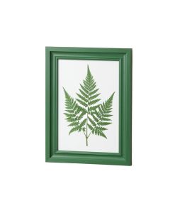 Wood Framed Wall Decor With Fern Fronds - 6 Piece Picture Frame Print Set On Wood (synthetic illustration; no displayed measurements)