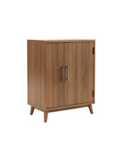 Matheus 2 Door Accent Cabinet