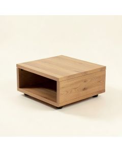 Lisbeth Coffee Table With Storage (synthetic illustration; no displayed measurements)