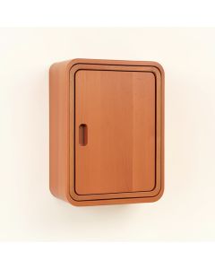 Bay Crossing Wall-Mounted Laundry Cabinet - Terracotta (synthetic illustration; no displayed measurements)
