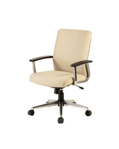 Adrianny Task Chair (synthetic illustration; no displayed measurements)