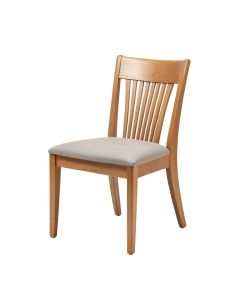 Aalaysha Solid Wood Dining Chair (synthetic illustration; no displayed measurements)