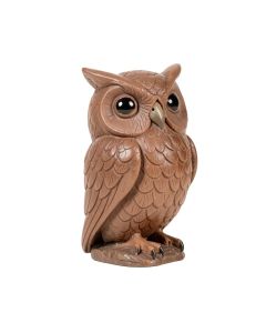 Owl Family