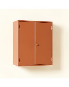 Olive Dale Wall-Mounted Laundry Cabinet - Terracotta (synthetic illustration; no displayed measurements)
