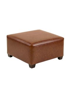 Vishvanath 18 '' Square Standard Ottoman (synthetic illustration; no displayed measurements)