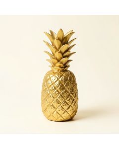 Alderete Pineapple (synthetic illustration; no displayed measurements)