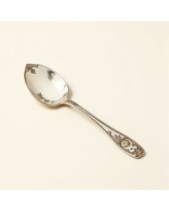 Modern Bohemian Soup Spoon (synthetic illustration; no displayed measurements)