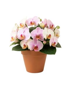 Triple Dancing Lady Silk Orchids Floral Arrangements In Pot