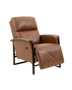 Almarie 35.8 '' Wide Power Lift Assist Standard Recliner (synthetic illustration; no displayed measurements)