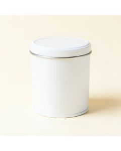 Reed Bluff Storage Canister With Lid - White (synthetic illustration; no displayed measurements)