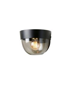 Ash Crest Wall Sconce Mounted On A Plain Wall - Black