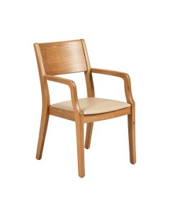 Cantero Wood Solid Wood Dining Chair (synthetic illustration; no displayed measurements)