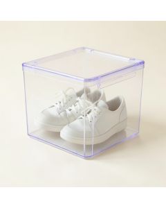 Shoe Storage Box (synthetic illustration; no displayed measurements)