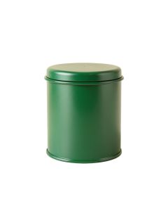 Stone Canyon Storage Canister With Lid - Green (synthetic illustration; no displayed measurements)