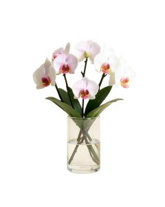 Faux Phalaenopsis Orchid Floral Arrangement In Acrylic Glass Vase