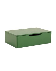 Lake Dell Desktop Monitor Riser - Green (synthetic illustration; no displayed measurements)