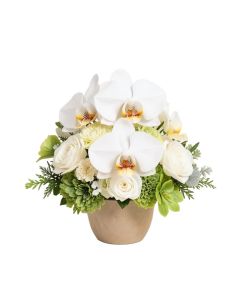 14 '' Hx19 '' W Phalaenopsis Orchid & Sedum Silk Flower Arrangement -White