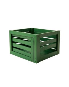 Hill Dale Empty Furniture-Style Pet Crate - Green (synthetic illustration; no displayed measurements)
