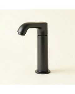 Widespread Faucet Bathroom Faucet (synthetic illustration; no displayed measurements)
