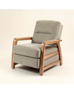 Lofton 46 '' Wide Power Lift Assist Standard Recliner (synthetic illustration; no displayed measurements)