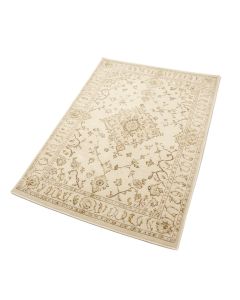 Norcross Ivory Branch Oriental Area Rug (synthetic illustration; no displayed measurements)
