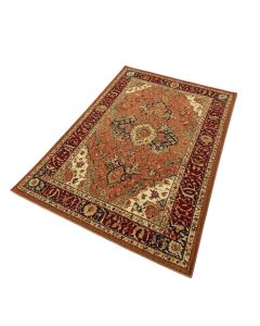 Selkirk Oriental Multi-Colored Area Rug