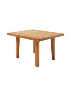 Echols Mango Solid Wood Dining Table (synthetic illustration; no displayed measurements)