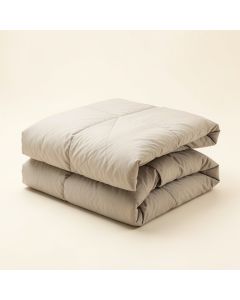 Felicite Comforter Set (synthetic illustration; no displayed measurements)