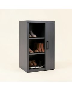Entryway 15 Pair Shoe Storage Cabinet (synthetic illustration; no displayed measurements)