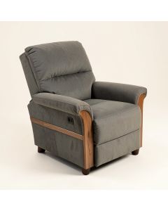 Amon 38 '' Wide Manual Rocker Standard Recliner (synthetic illustration; no displayed measurements)