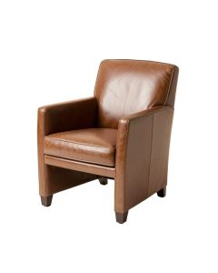 Javi Genuine Upholstered Dining Chair (synthetic illustration; no displayed measurements)