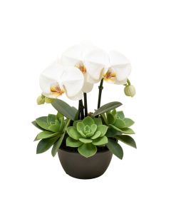 39 '' Hx30 '' W Phalaenopsis Orchid & Succulent Silk Flower Arrangement -White/Green