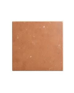 Birch Branch Uninstalled Square Decorative Tile - Terracotta