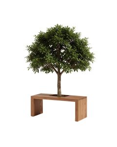 Patricia Hall Tree With Bench