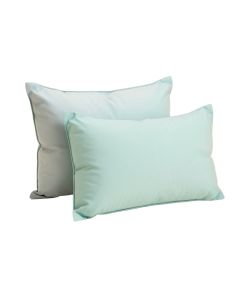 Coral Lagoon Indoor/Outdoor , Removable Cover Pillow , Large & 1 Lumbar Pillow