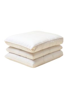 Trahan Comforter Set (synthetic illustration; no displayed measurements)