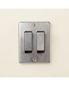 Two Raccoons 2-Gang Toggle Light Switch Wall Plate (synthetic illustration; no displayed measurements)