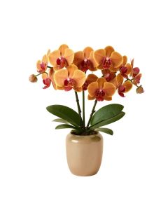 Autumn Artificial Phalaenopsis Orchids Floral Arrangement In Vase