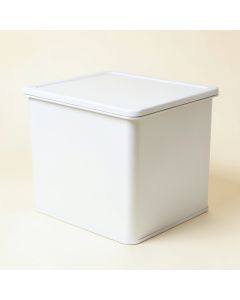 Aspen Branch Closed Outdoor Storage Box - White (synthetic illustration; no displayed measurements)