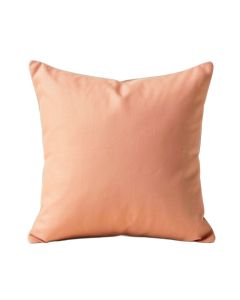 Aanya 100 % Cotton Throw Pillow