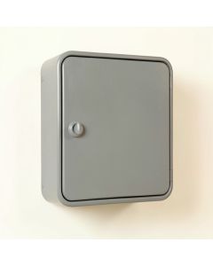 Spruce Branch Wall-Mounted Laundry Cabinet - Gray (synthetic illustration; no displayed measurements)
