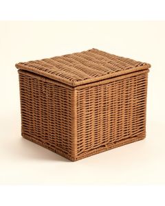 Adelita Wicker Deck Box (synthetic illustration; no displayed measurements)