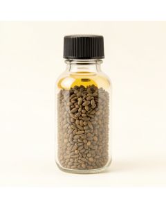 Celery Seed Certified Essential Oil (synthetic illustration; no displayed measurements)