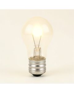 60 Watt , T10 Incandescent , Dimmable Light Bulb , Warm White ( 2700K ) E26/Medium ( Standard ) Base (synthetic illustration; no displayed measurements)